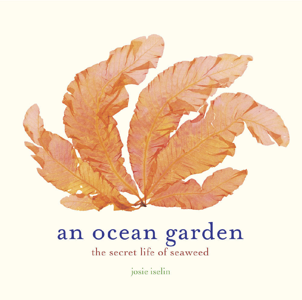 BQ Book Club: An Ocean Garden by Josie Iselin
