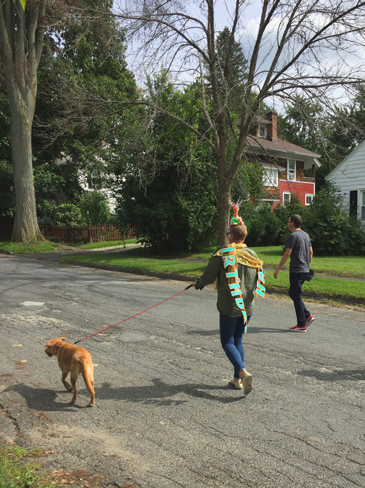 SURPRISE MIDDAY BIRTHDAY PARADE