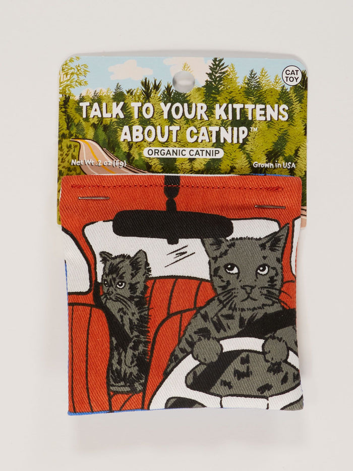 blue q Talk To Your Kittens About Catnip Toy