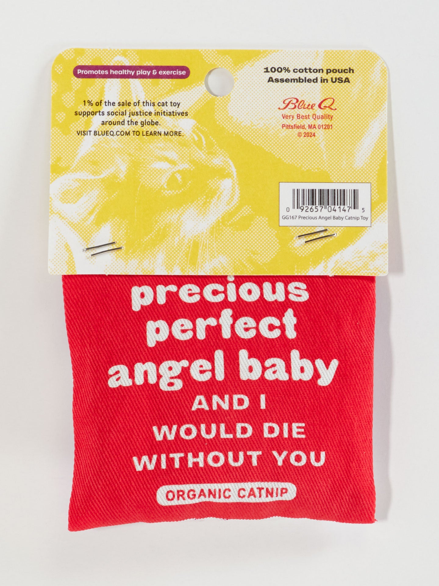 Will It Hurt Baby to Play With Cat Nip Toys? Essential Safety Tips