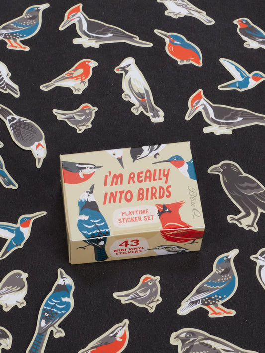 A Blue Q “I’m Really Into Birds Playtime Sticker Set” box, designed for ages 13 and up, rests on a black surface scattered with vibrant bird stickers. The box showcases bird illustrations and notes that it includes 43 collectible mini vinyl stickers.